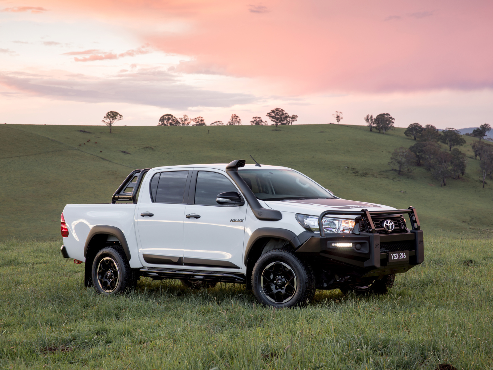 Белый пикап Toyota Hilux Rugged, 2018 года в поле 