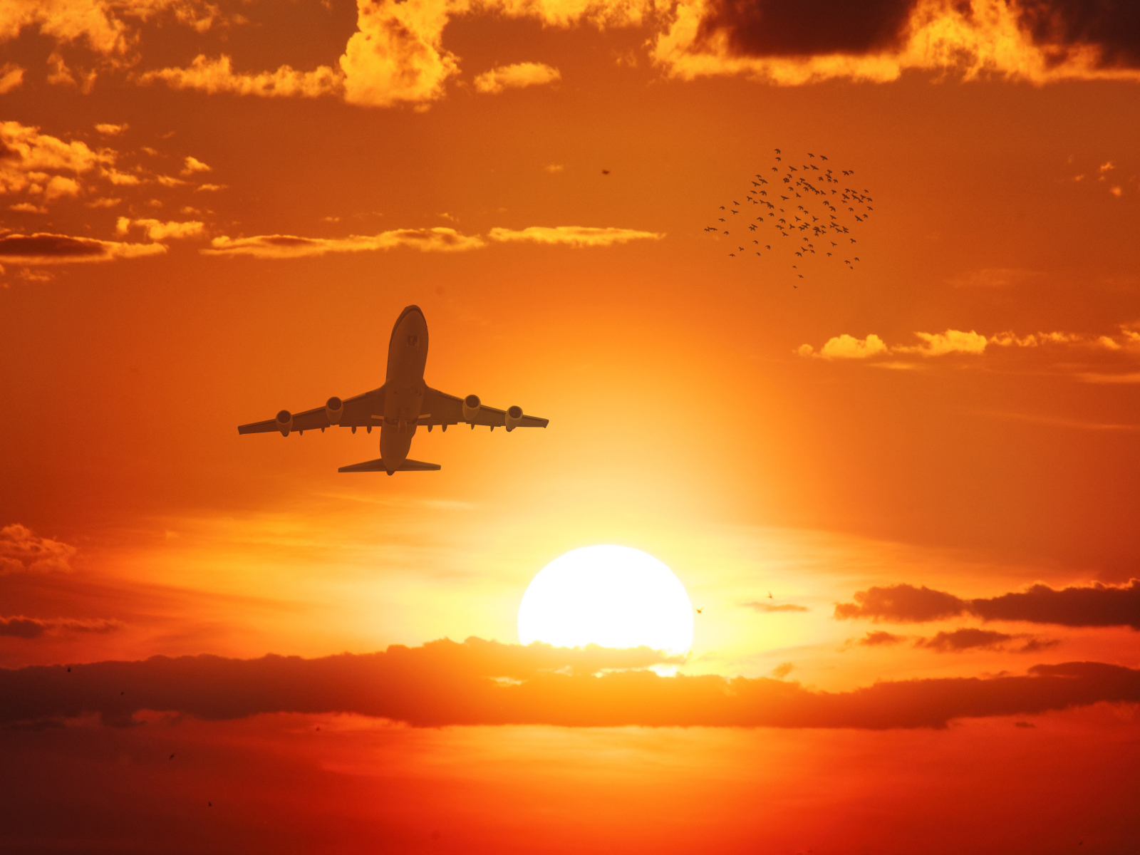 Самолет в небе на фоне солнца на закате