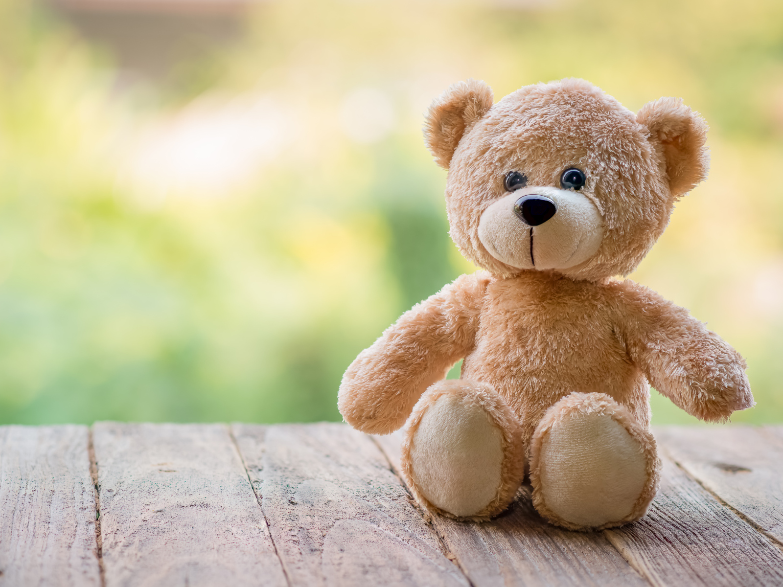 Плюшевый медведь сидит на деревянных досках