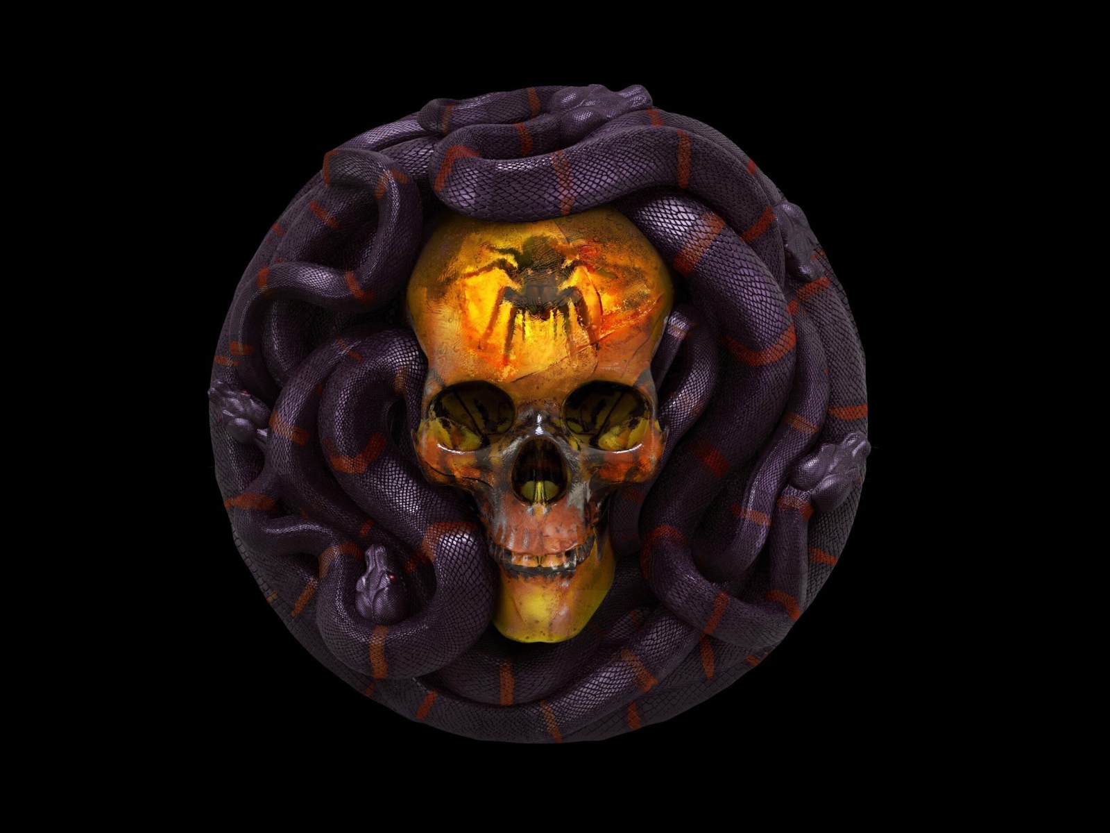 Череп со змеями на черном фоне