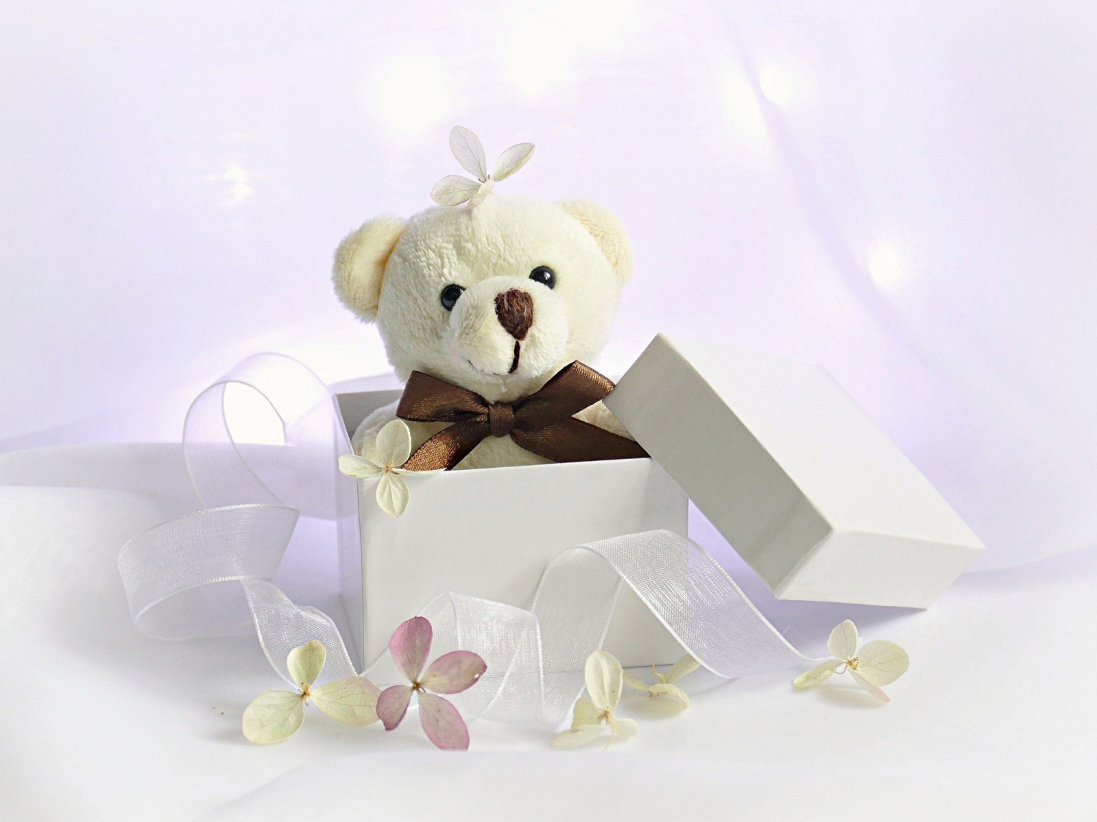 Белый плюшевый медведь в подарочной коробке