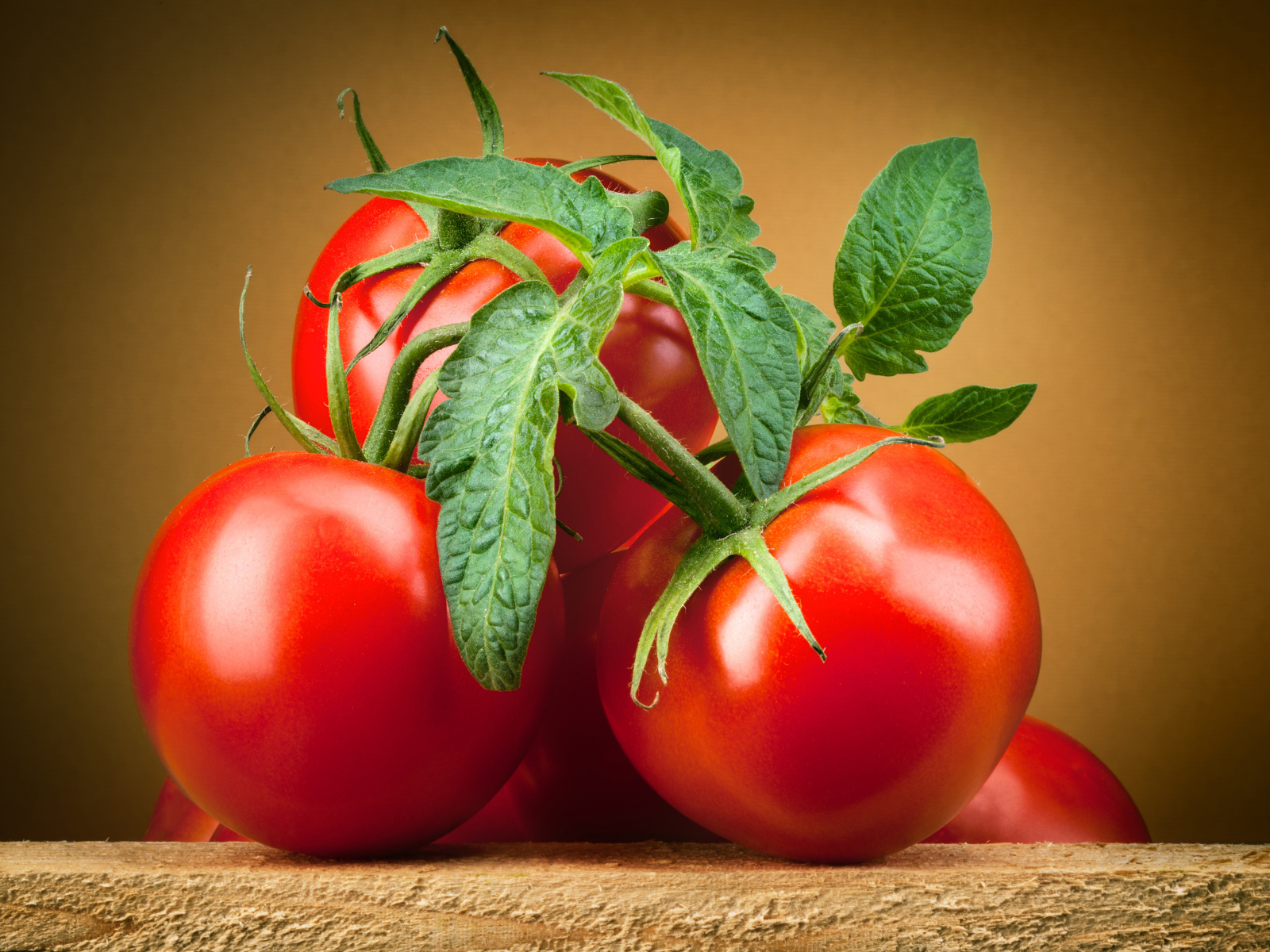 Large ripe red tomatoes with green leaves