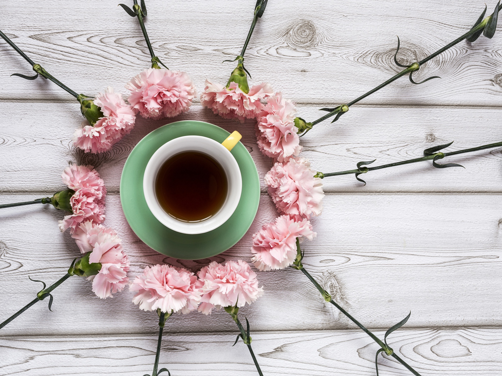 Чашка чая с розовыми гвоздиками на деревянном фоне