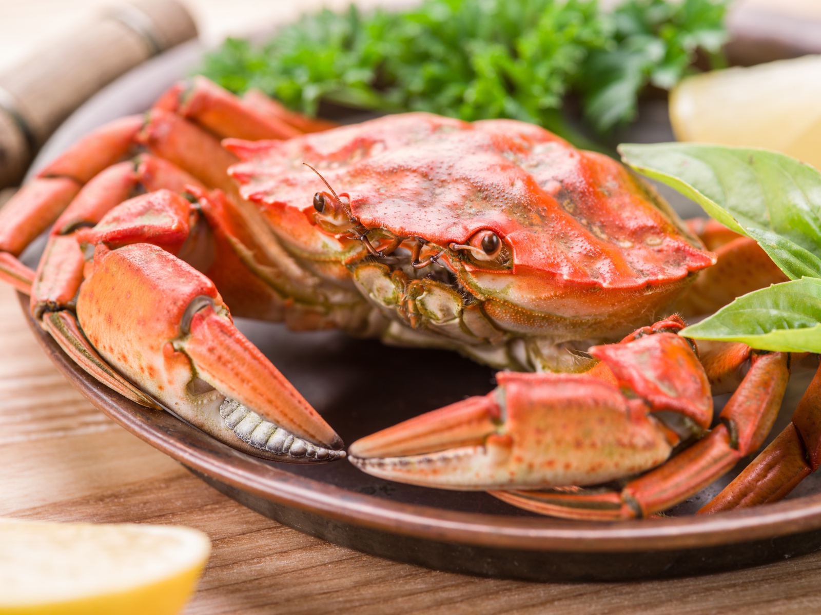 Большой вареный краб на тарелке с листьями салата