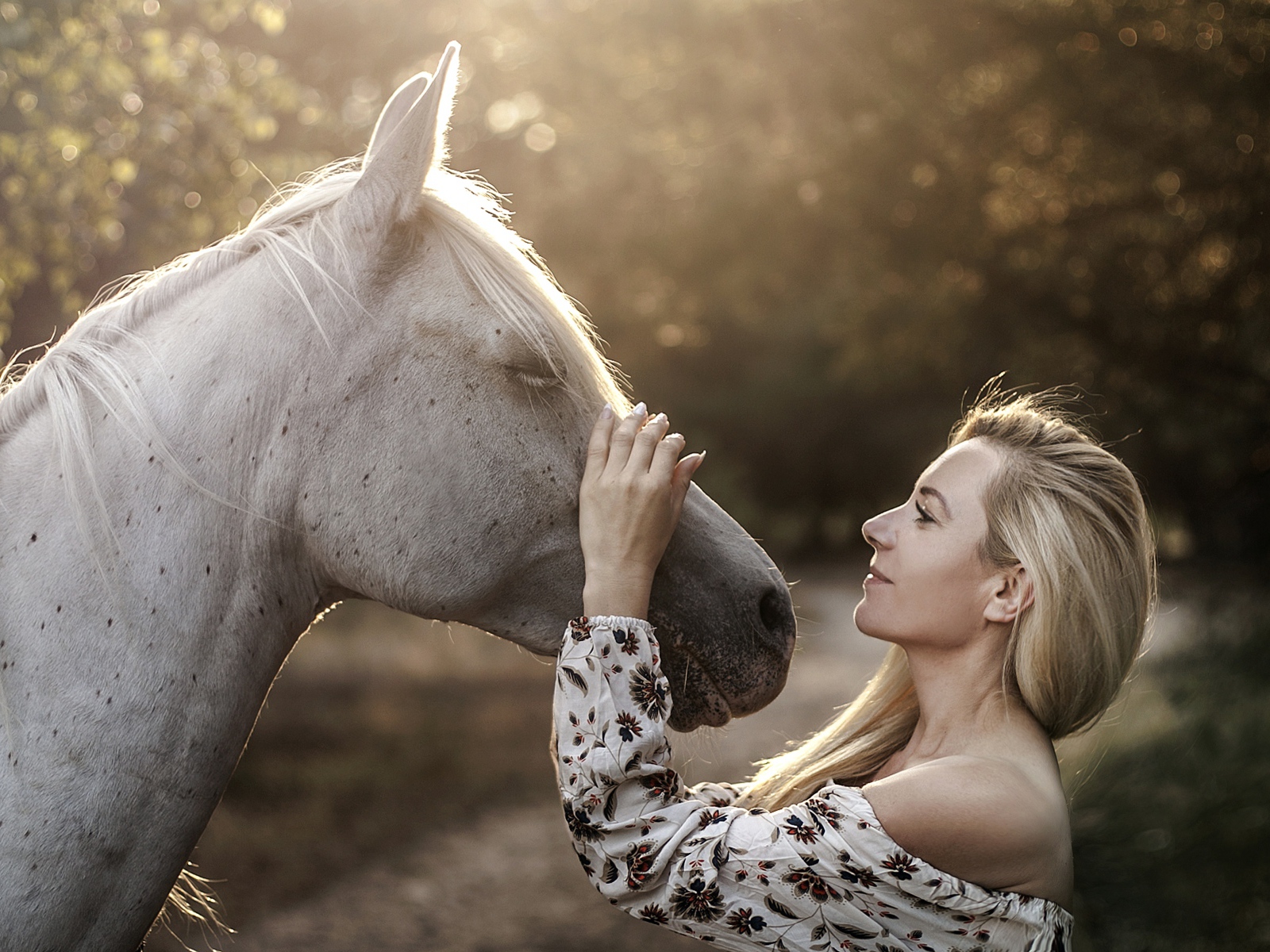 Красивая девушка блондинка с лошадью