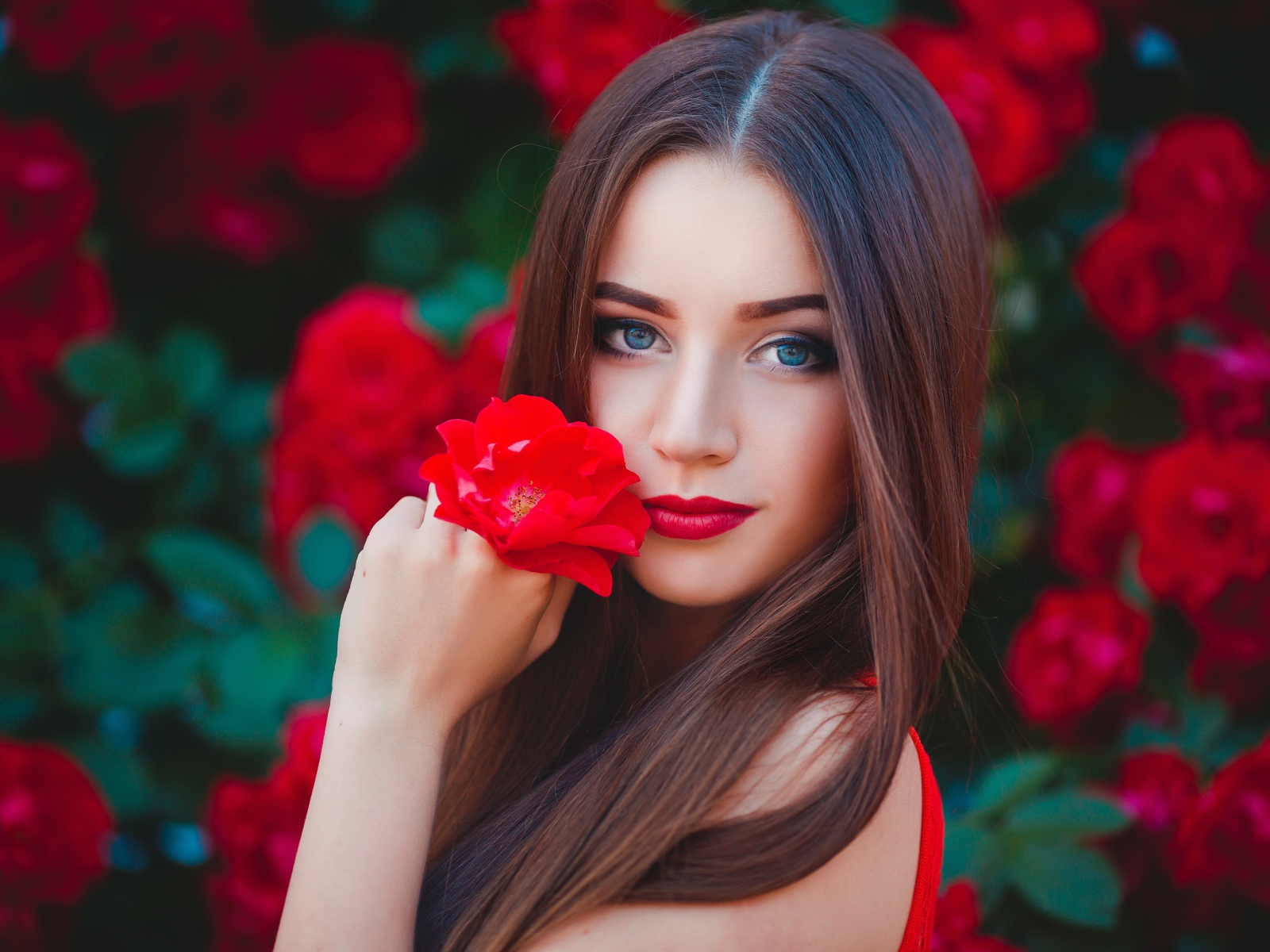 Красивая голубоглазая девушка с красной розой в руке