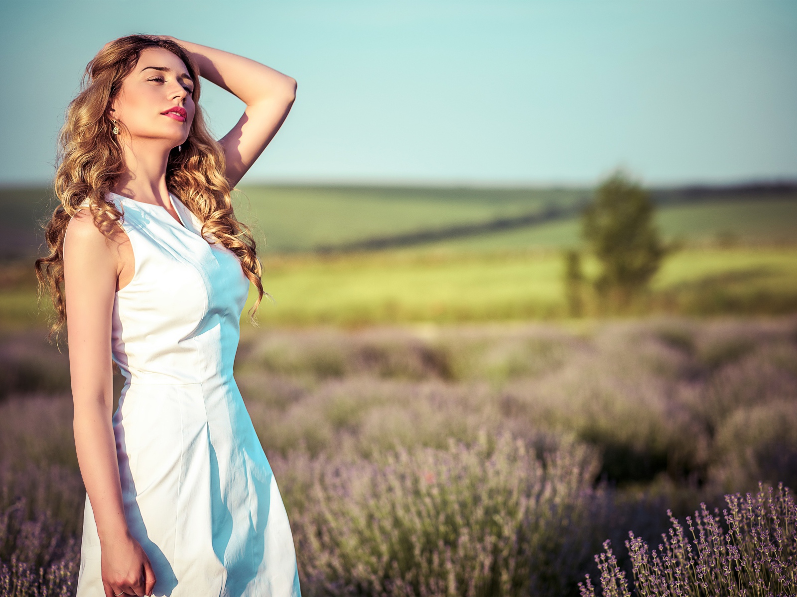Красивая девушка в белом платье на лавандовом поле