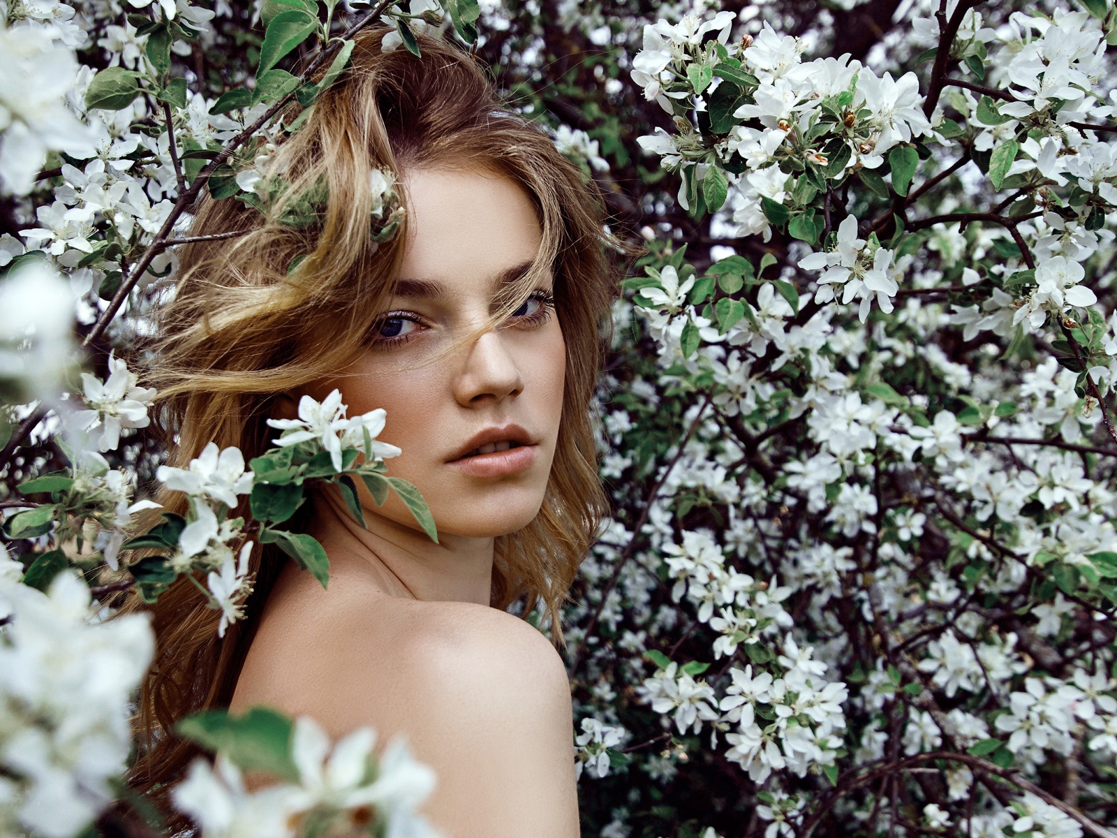 Красивая девушка в ветках цветущей яблони 