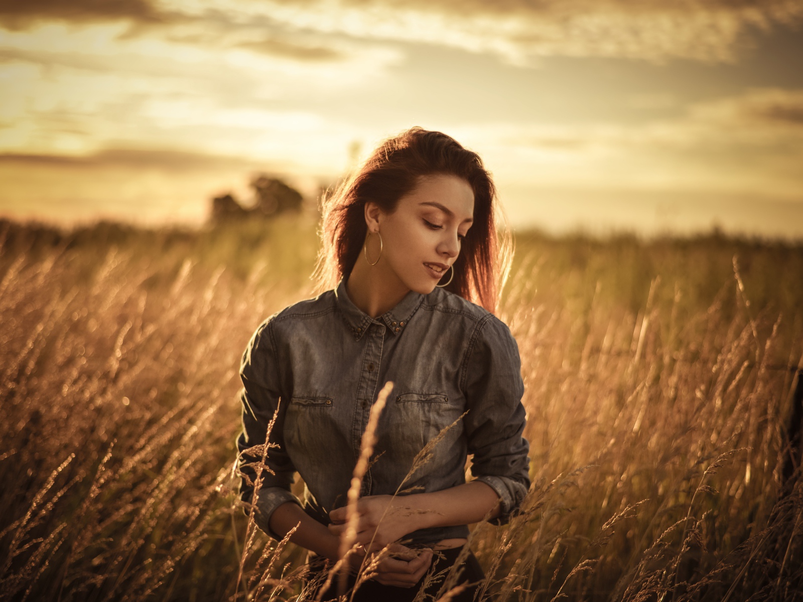 Красивая девушка на поле с колосками на фоне солнца