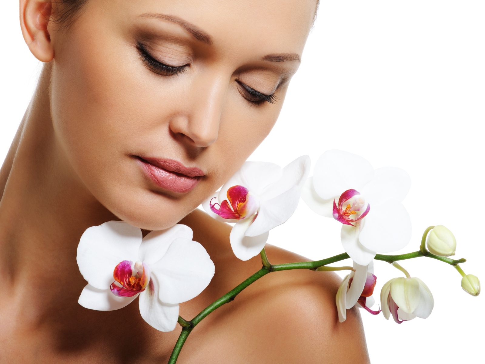 Красивая нежная девушка с цветами орхидеи на белом фоне