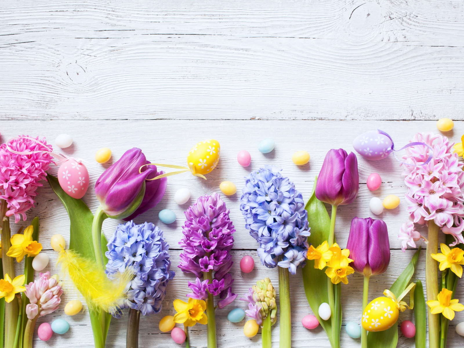 Нарциссы, гиацинты и тюльпаны с яйцами, фон для открытки на Пасху