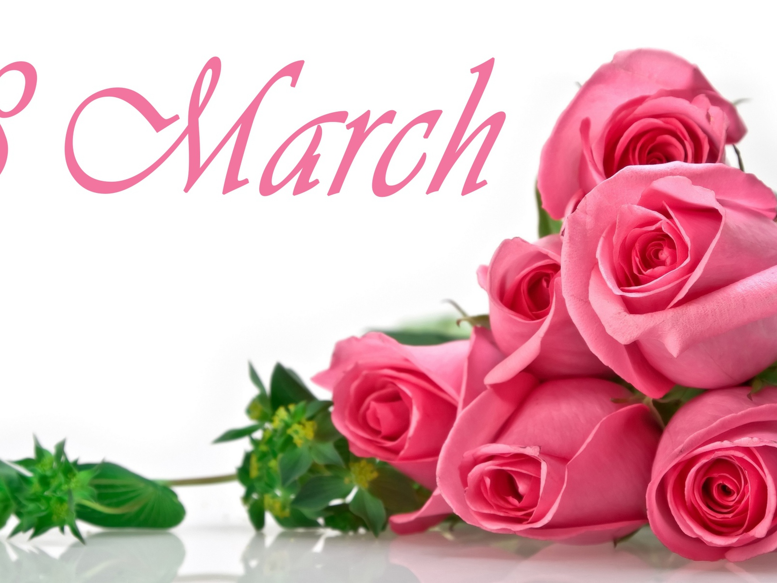 Букет розовых роз на белом фоне на 8 марта