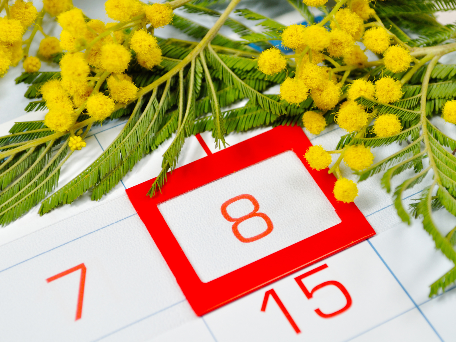 8 марта на календаре крупным планом