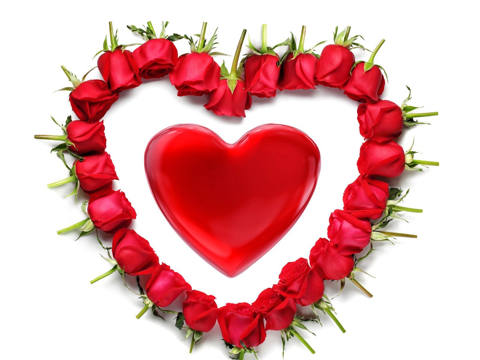 Красные розы вокруг красного сердца на белом фоне