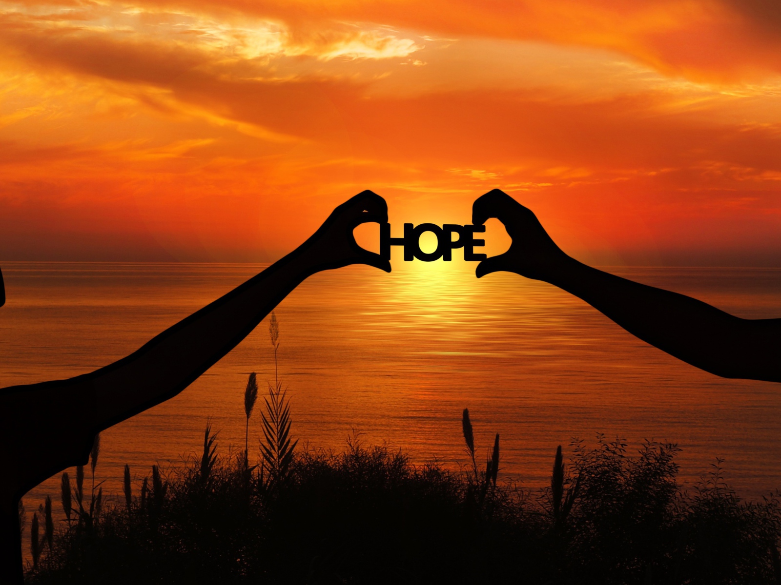 Силуэты пары держат в руках надпись HOPE на фоне заката