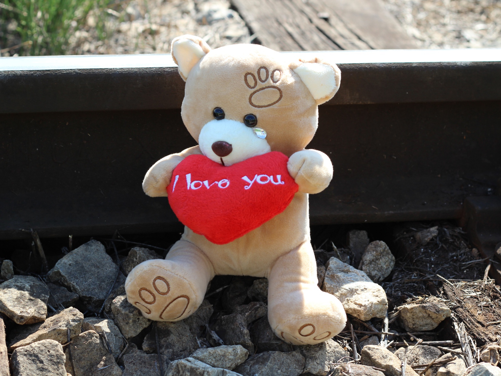 Игрушечный медведь с красным сердцем сидит на рельсах 