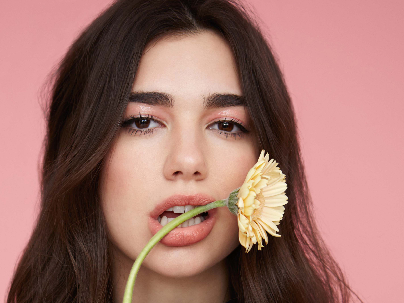 Певица Дуа Липа с цветком герберы во рту