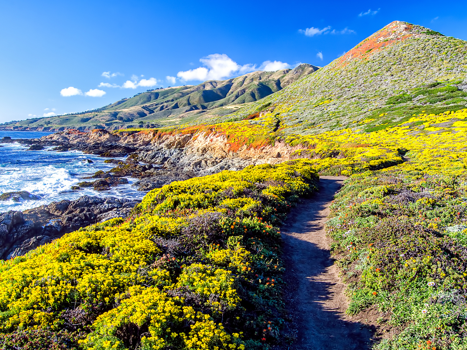 Покрытые растительностью горы на берегу моря
