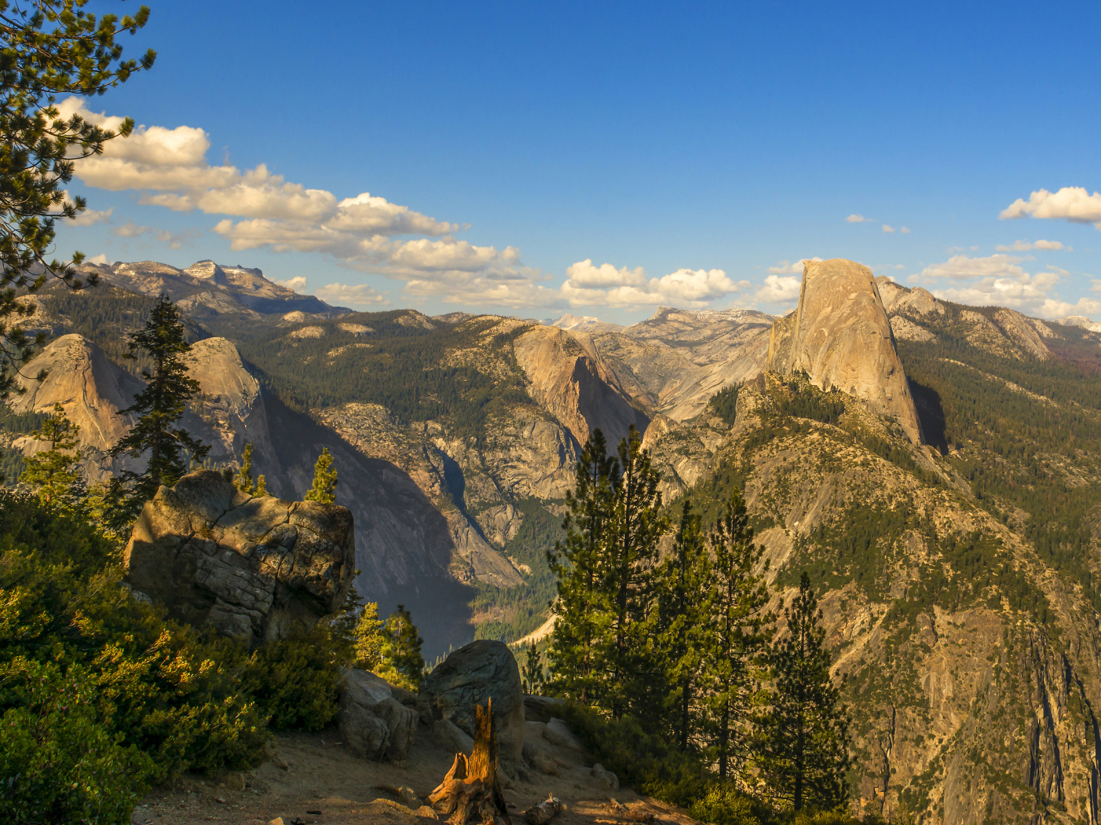Покрытые лесом горы под голубым небом 
