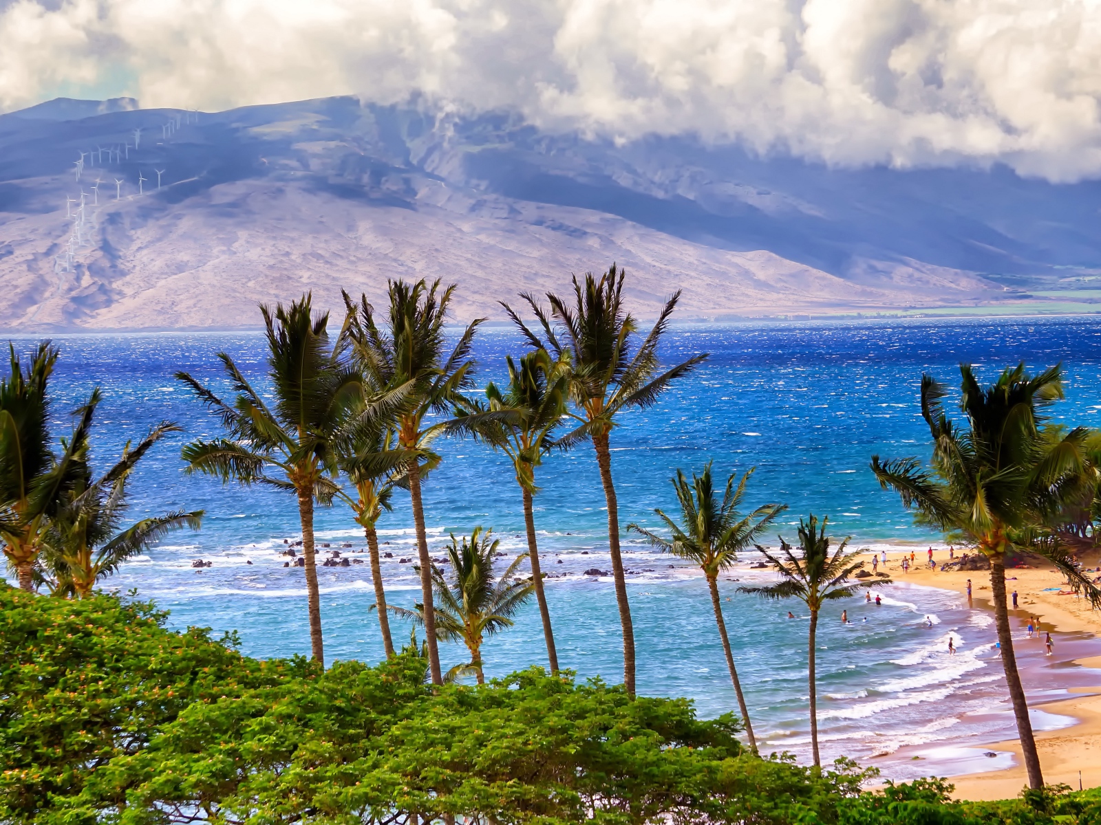 Зеленые пальмы на пляже у океана на фоне гор