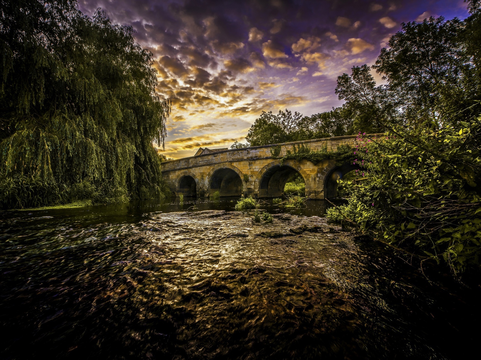 Зеленые ивы на берегу реки у старого моста под красивым небом