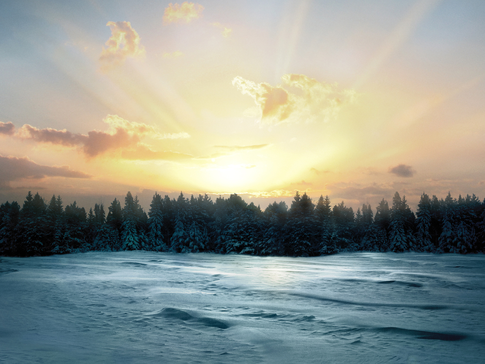 Восход солнца над заснеженным лесом