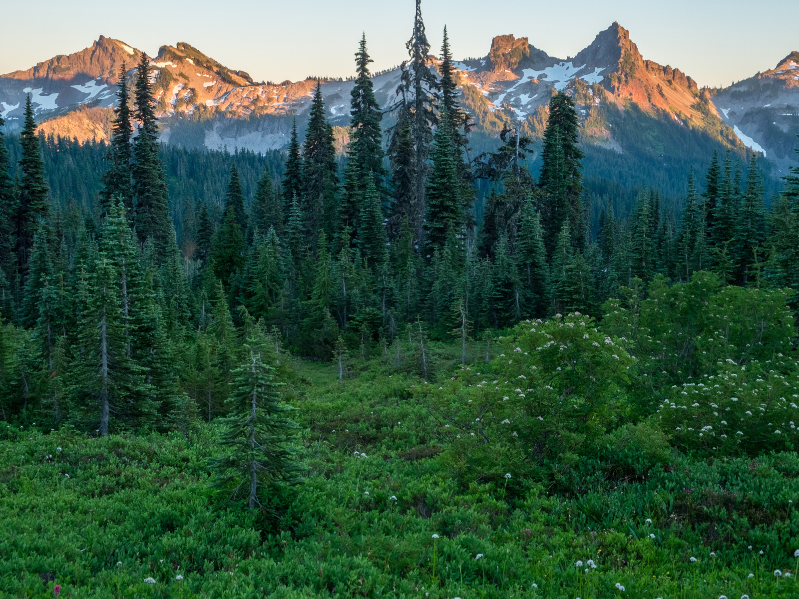 Вид на зеленый хвойный лес и верхушки гор в лучах восходяшего солнца