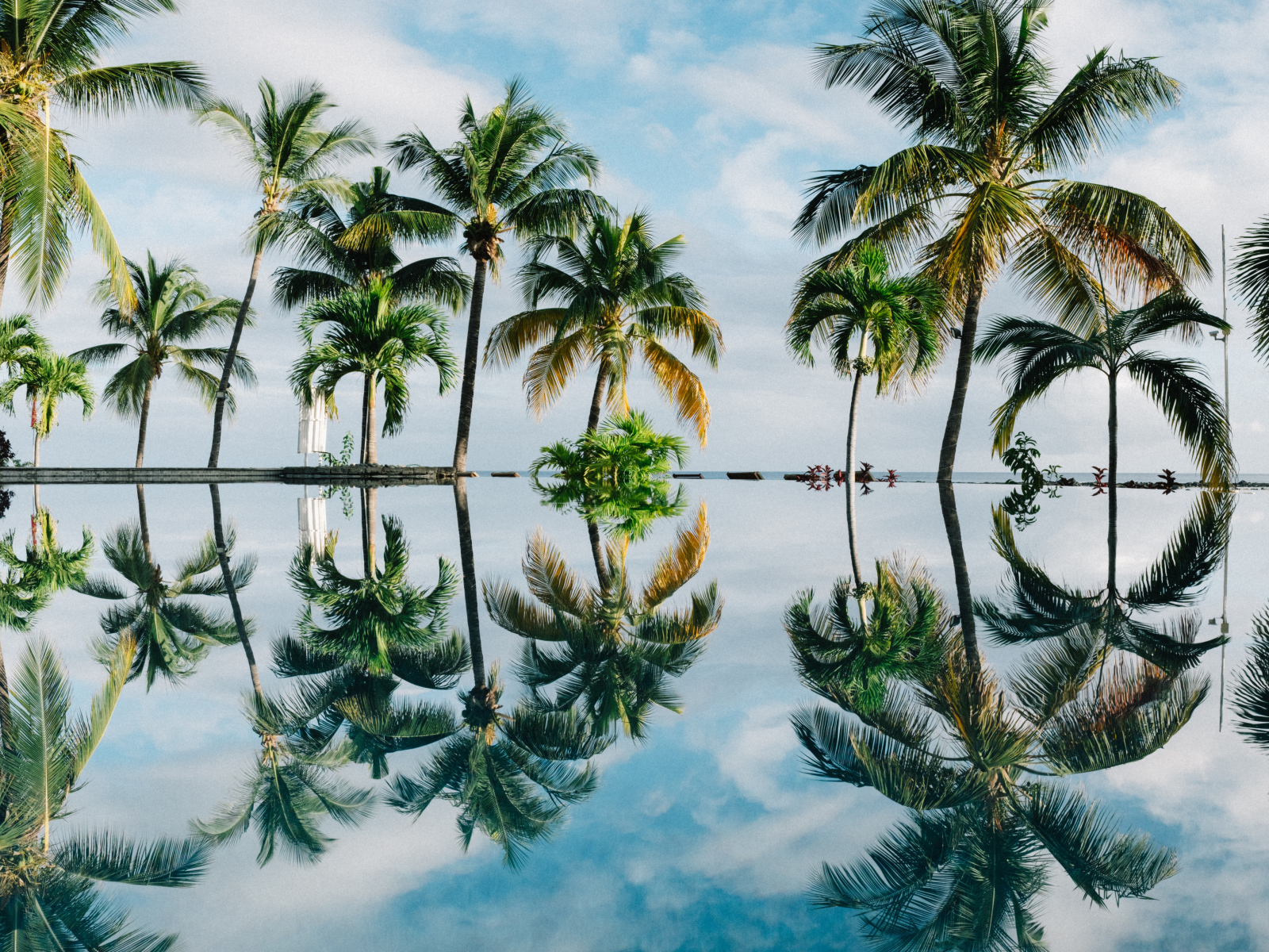 Зеленые пальмы отражаются в воде на пляже 