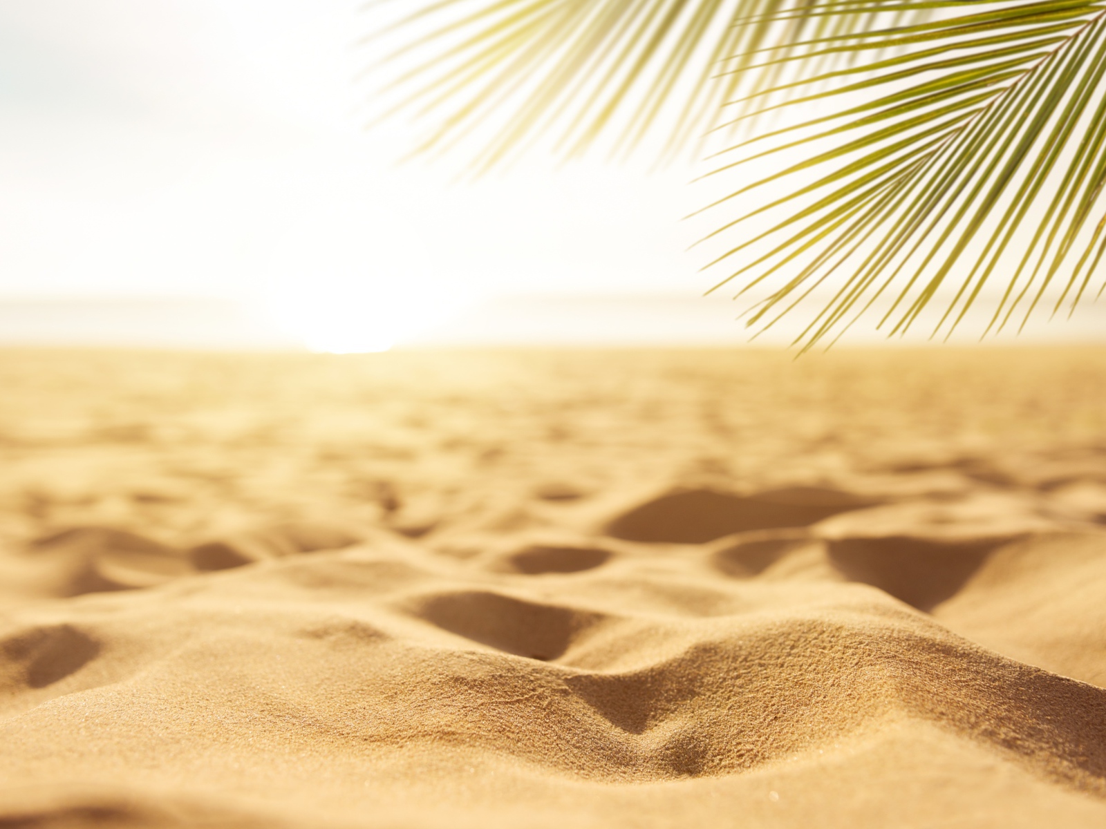 Горячий желтый песок на пляже под палящим солнцем