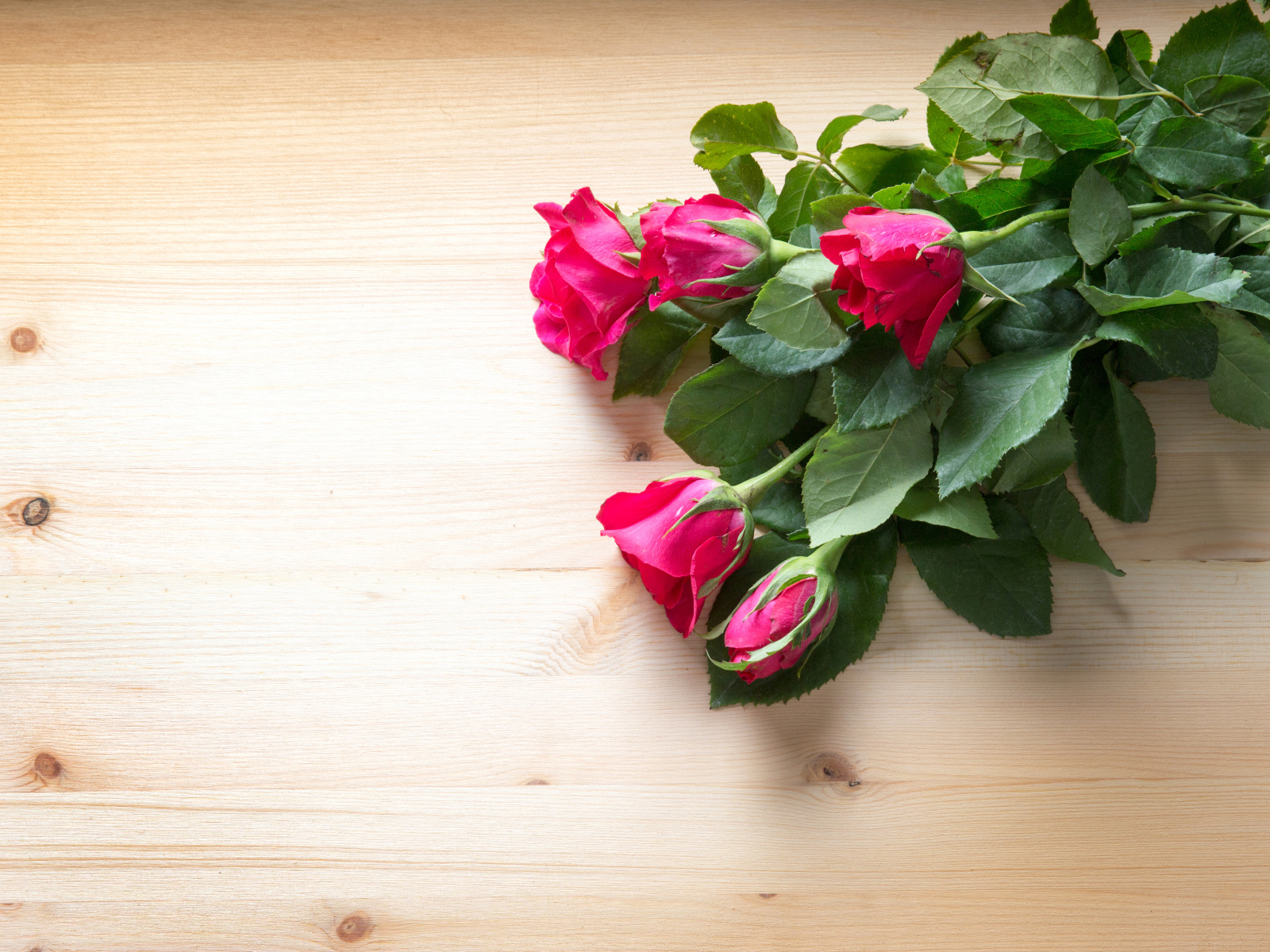 Букет розовых роз с зелеными листьями на деревянной поверхности 