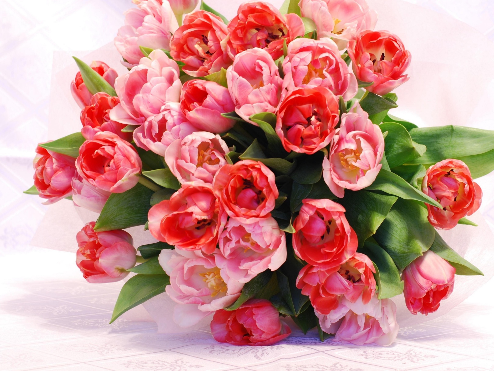 Большой красивый букет розовых тюльпанов крупным планом