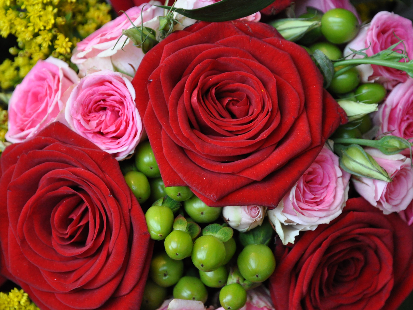 Букет из крупных красных роз с розовыми 