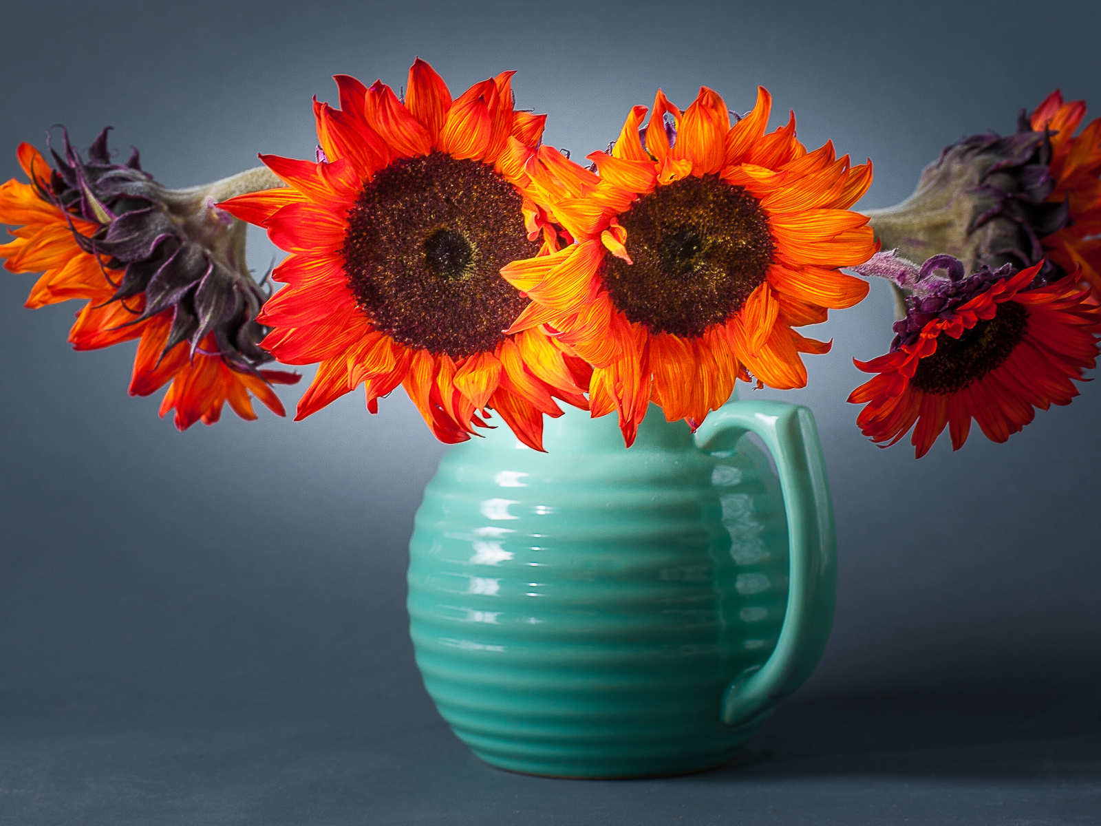 Букет подсолнухов  в голубой вазе на сером фоне