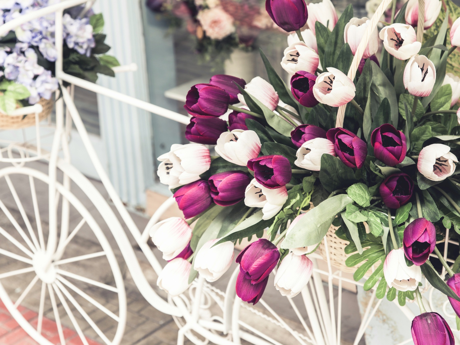 Букет тюльпанов в корзине на белом велосипеде