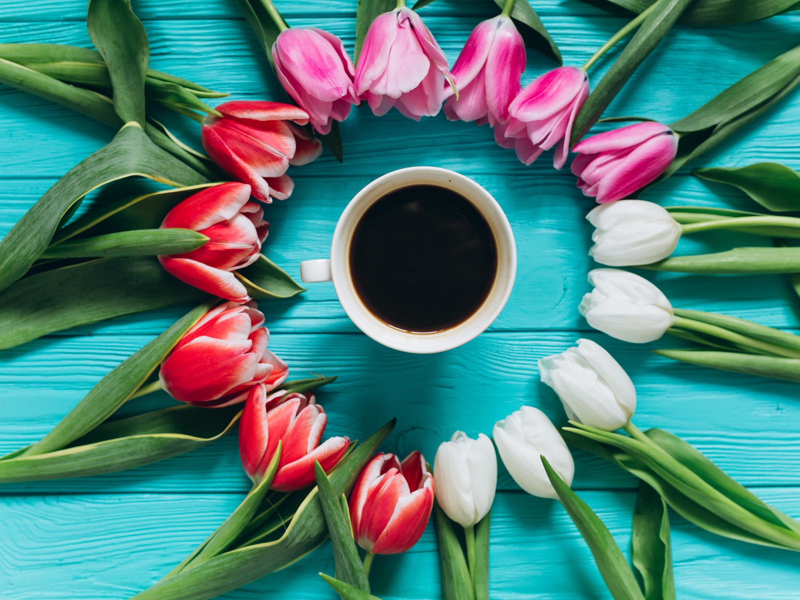 Букет тюльпанов с чашкой кофе на голубом фоне