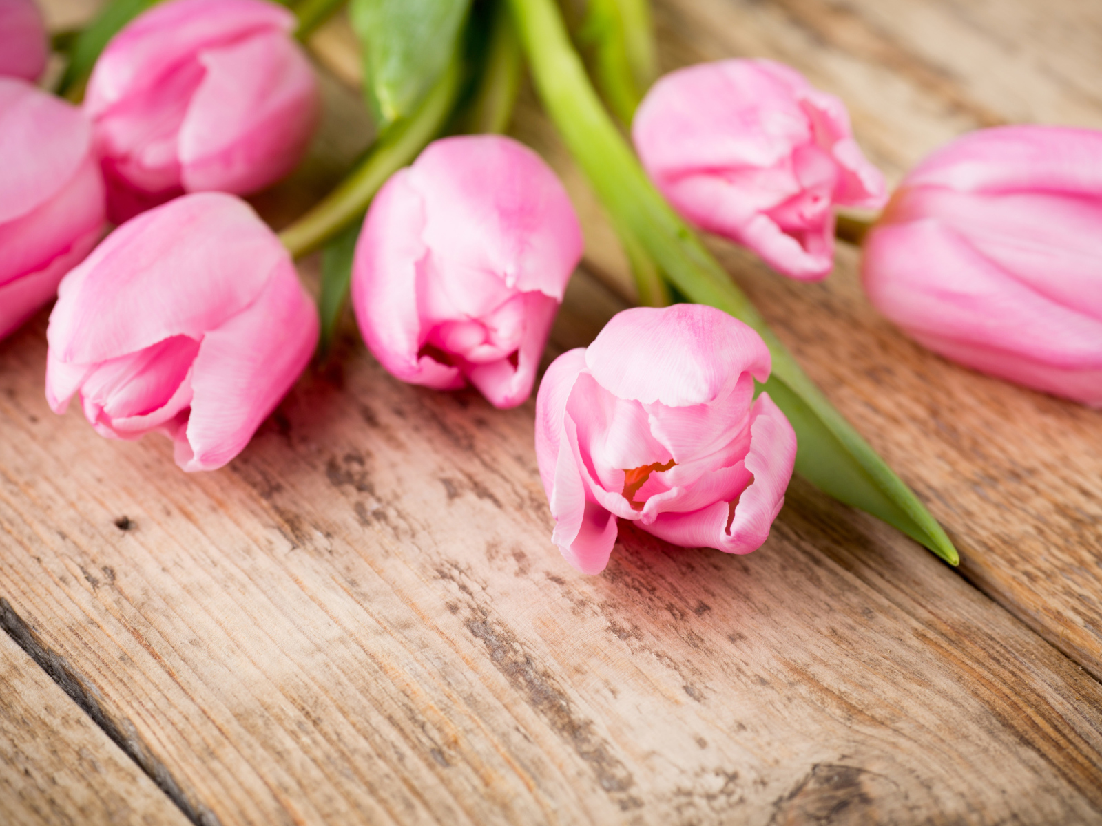 Нежные розовые тюльпаны на деревянном столе