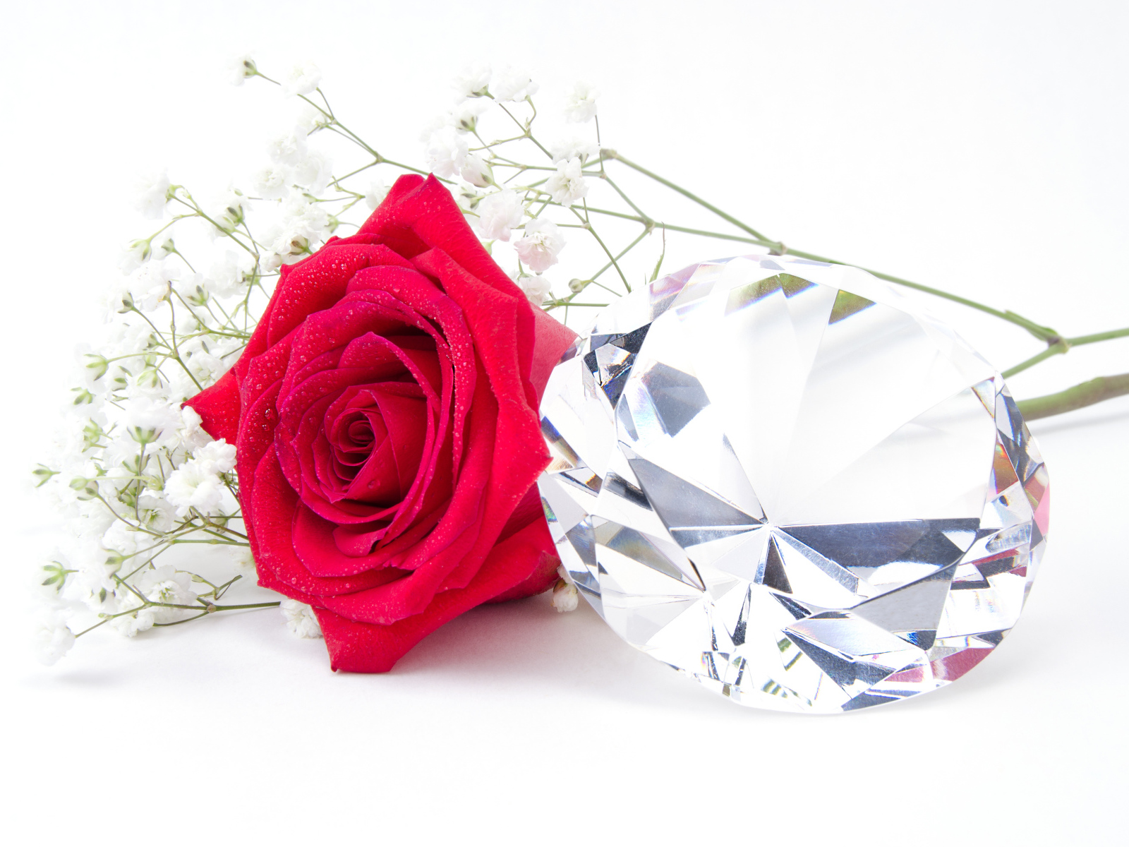 Красная роза с большим бриллиантом на белом фоне