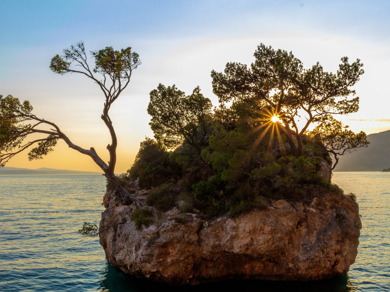Скала с зелеными деревьями в воде на закате солнца