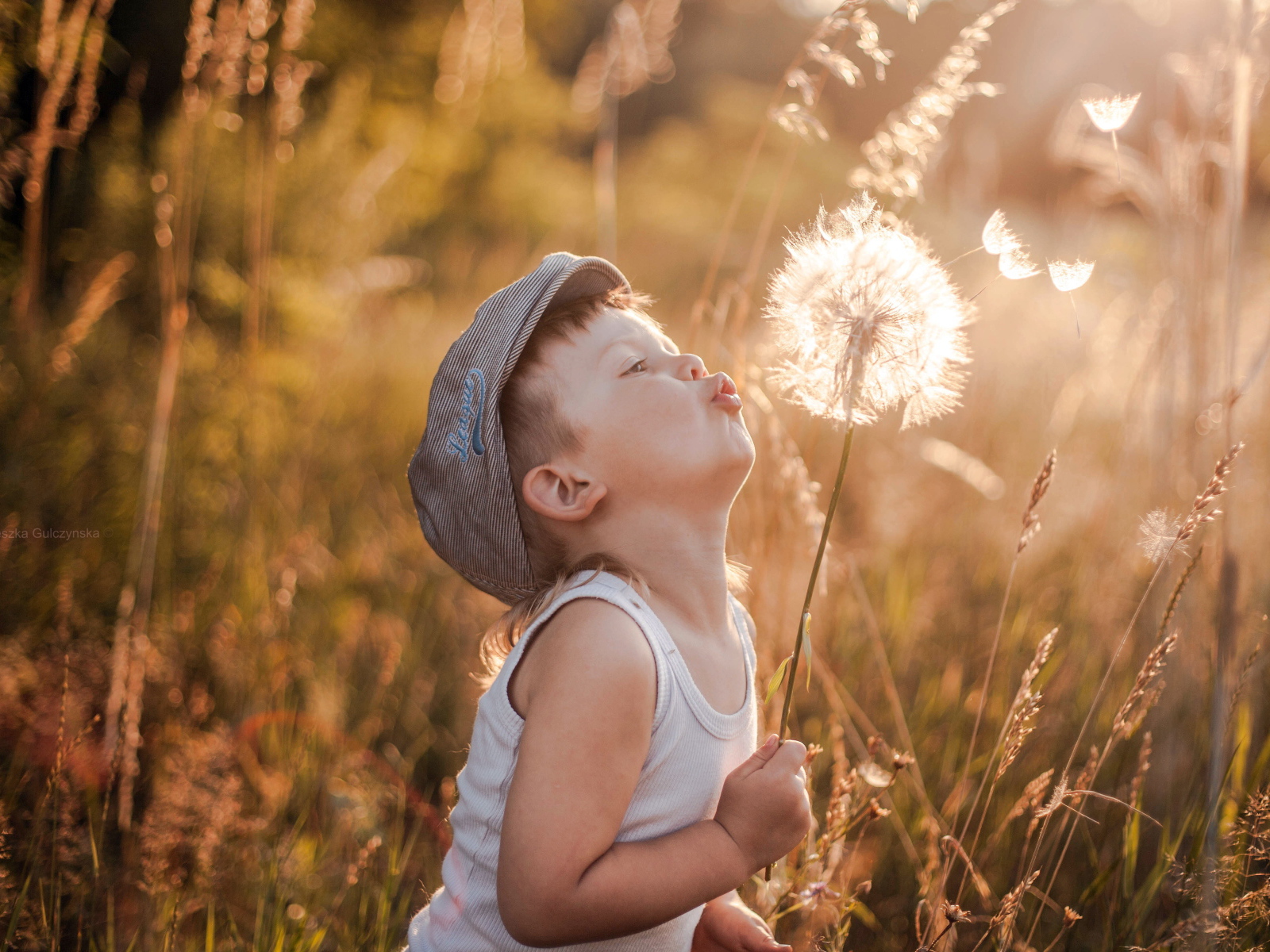Мальчик с большим одуванчиком в руке