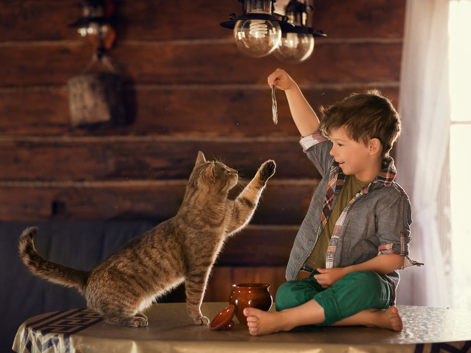 Маленький мальчик дразнит рыбой серого кота