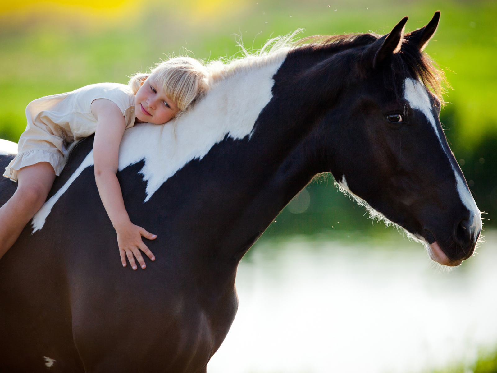 Маленькая девочка блондинка на коне