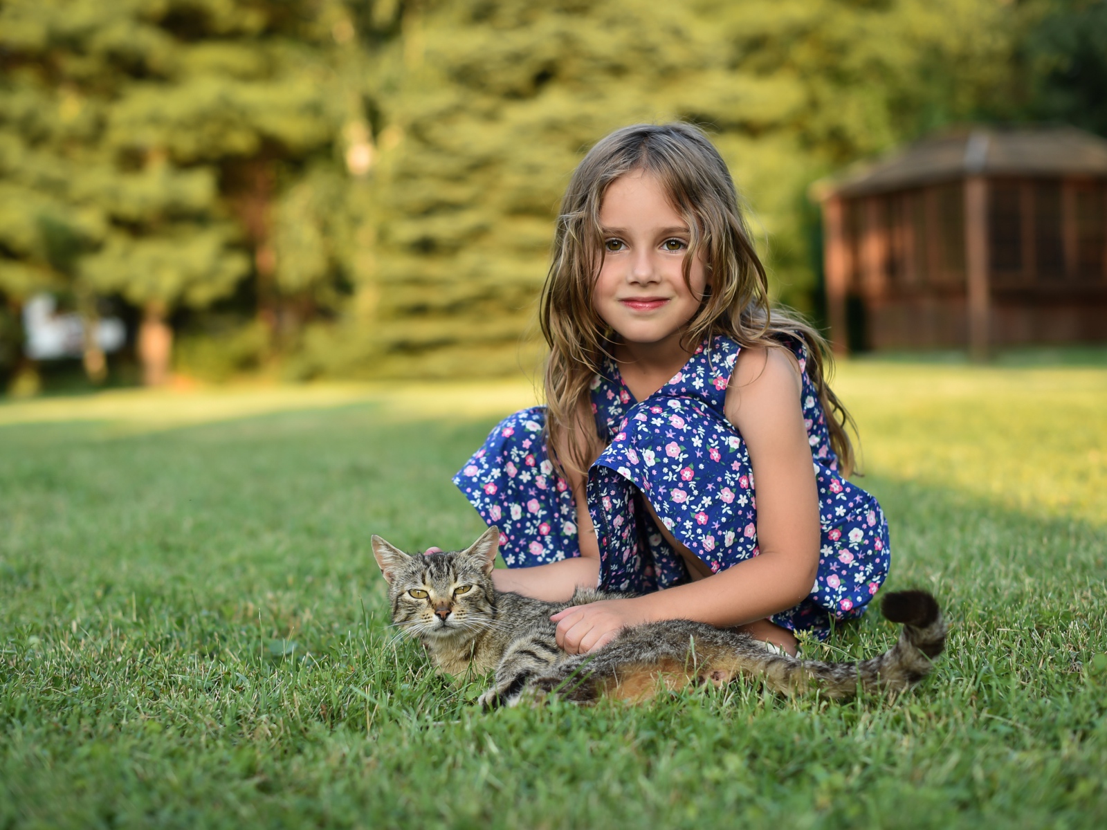 Маленькая девочка сидит на зеленой траве с серым котом