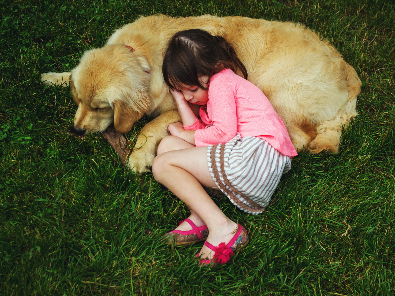 Маленькая девочка спит на зеленой траве с собакой