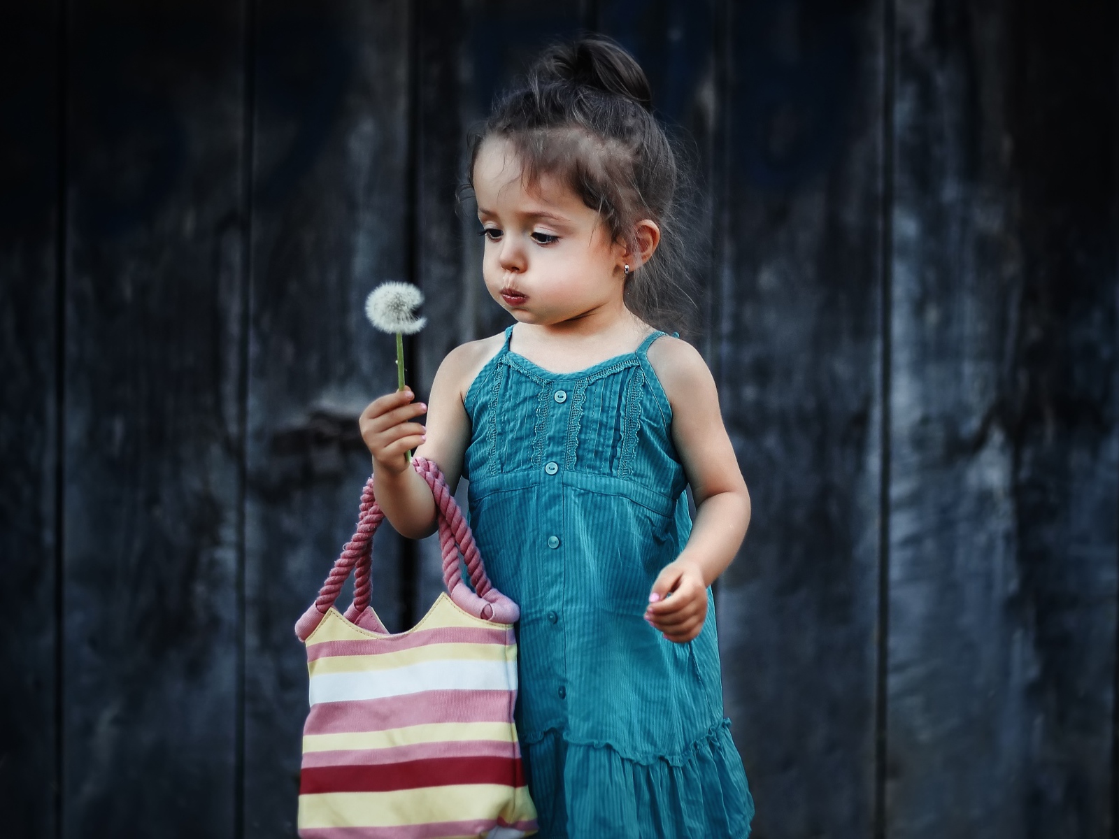 Маленькая девочка с сумкой и одуванчиком в руке