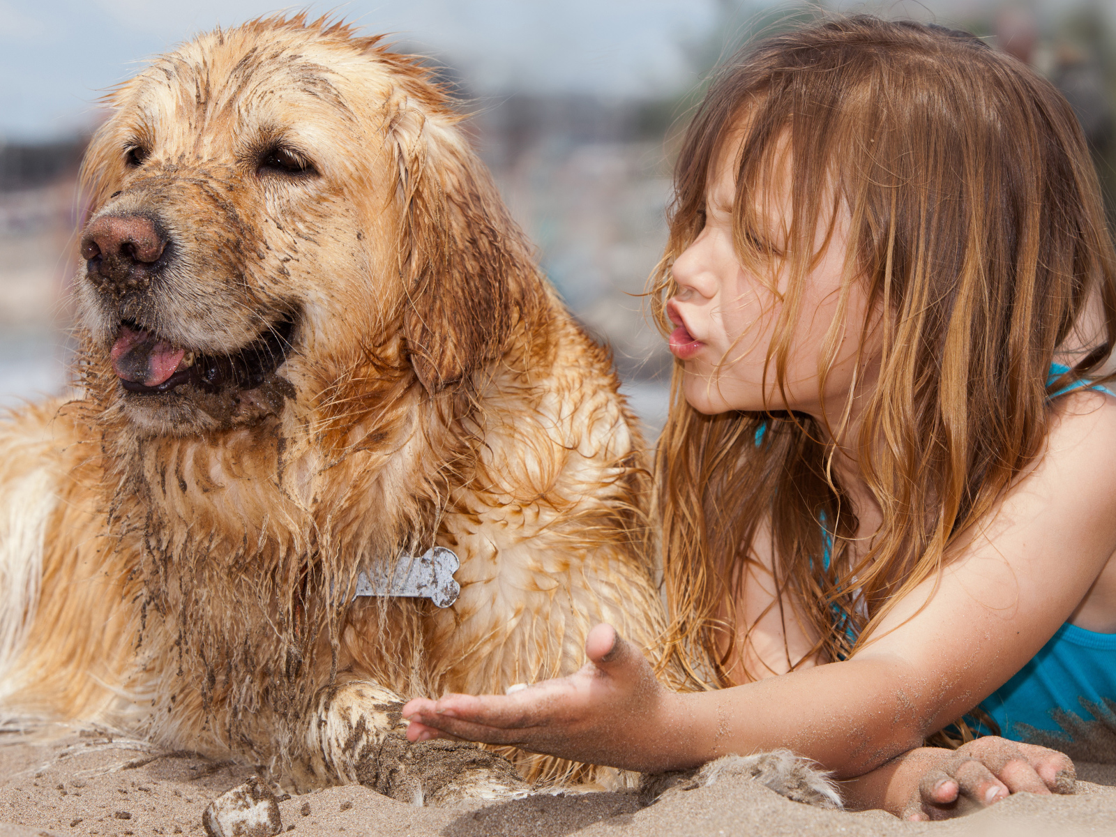 Маленькая девочка с мокрой собакой на песке