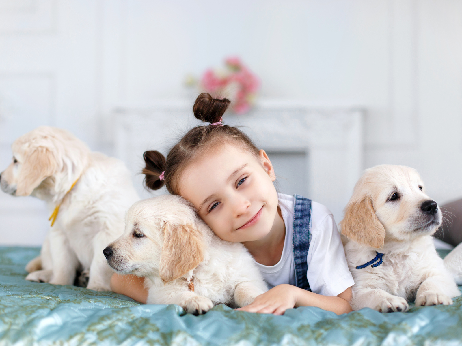 Маленькая девочка со щенками золотистого ретривера