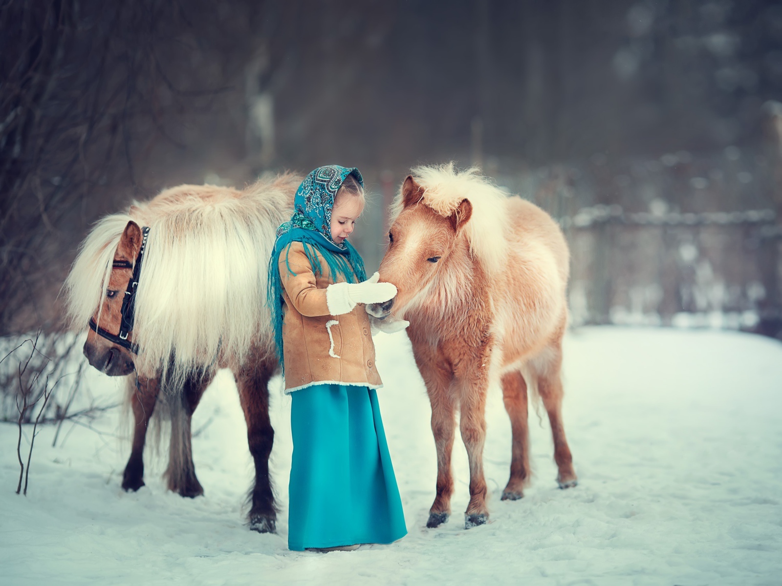 Маленькая девочка с пони зимой