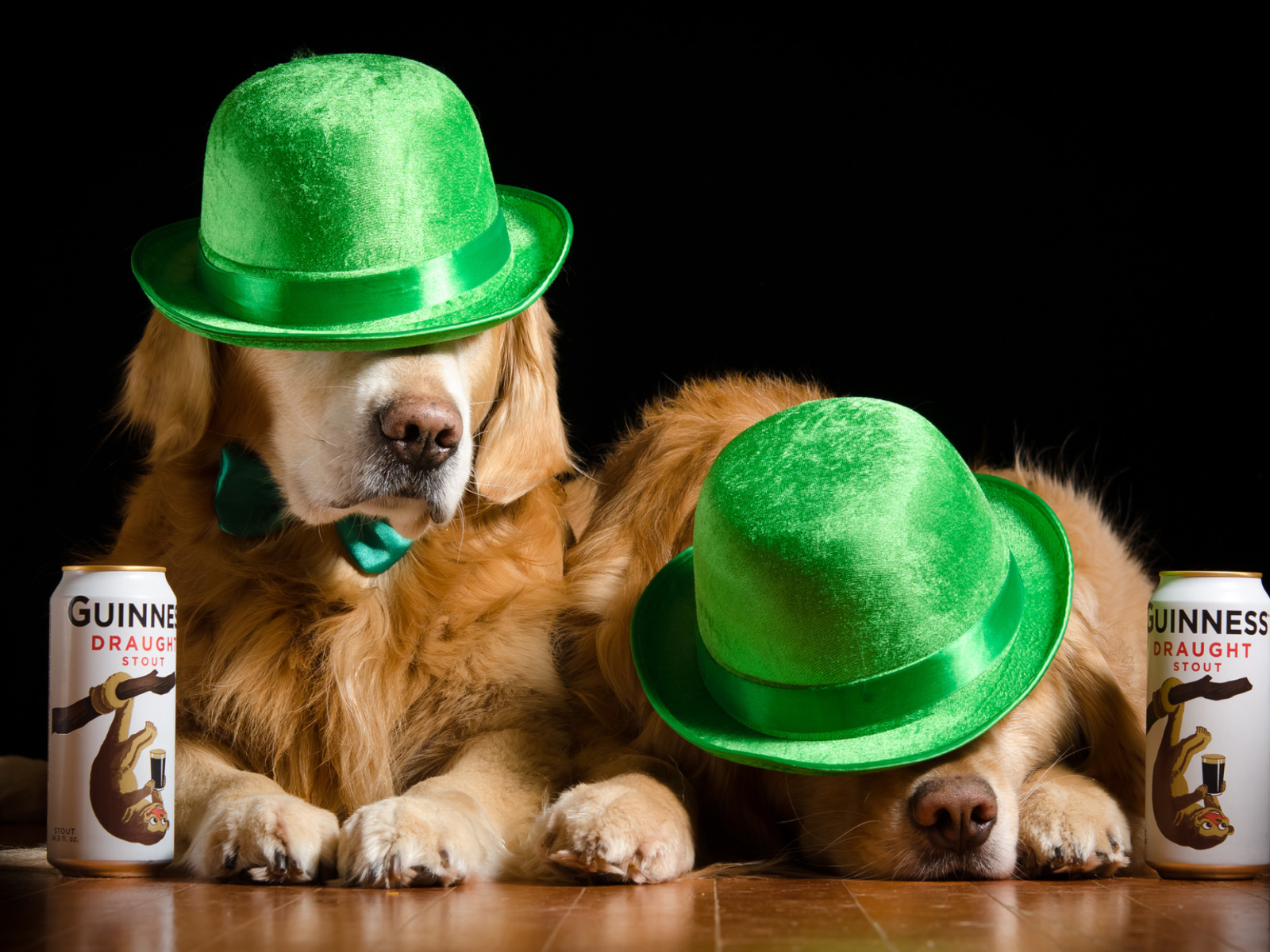 Два золотистых ретривера в зеленых шляпах