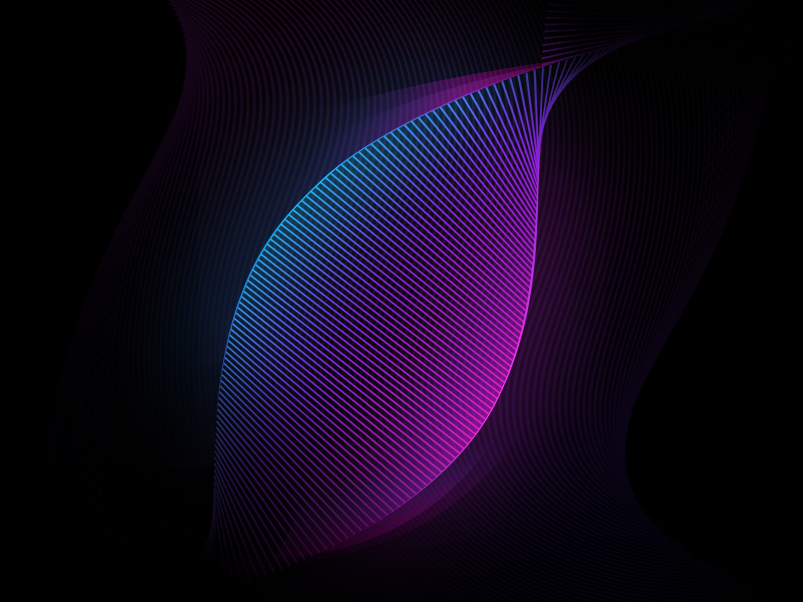 Неоновые сети на черном фоне