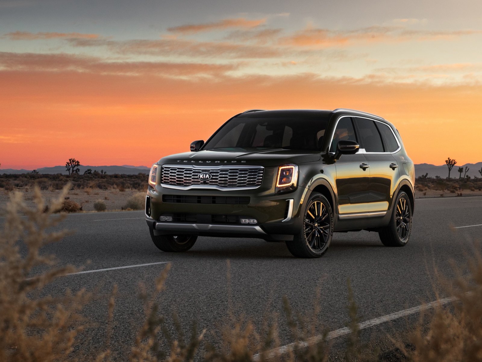 Черный внедорожник Kia Telluride, 2020 года на фоне заката 
